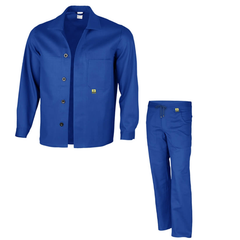 Salopeta ignifugata AVELINO