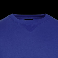 REMO ALBASTRU REGAL (TOURS) Bluza cu maneca lunga