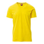 Tricou cu mânecă scurtă PAYPER V-neck