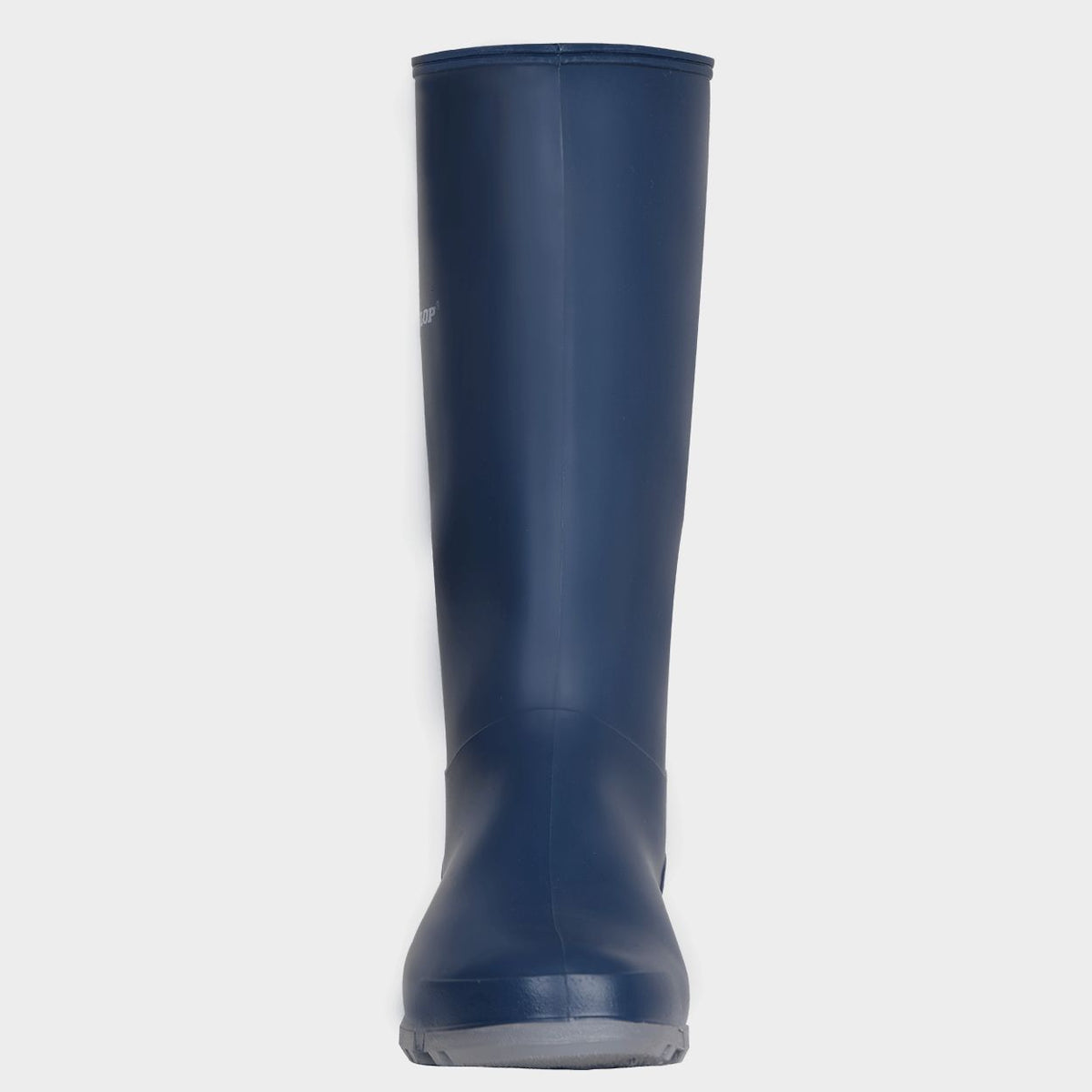 Cizme de lucru pentru femei Dunlop Sport BLUE/GRAY